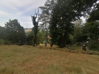 Vogelwiese Eisbaeren 2023